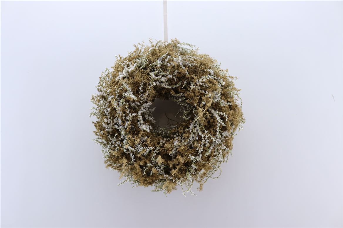Wr-Statice-Tataricum-Asparagus-40cm-Naturel