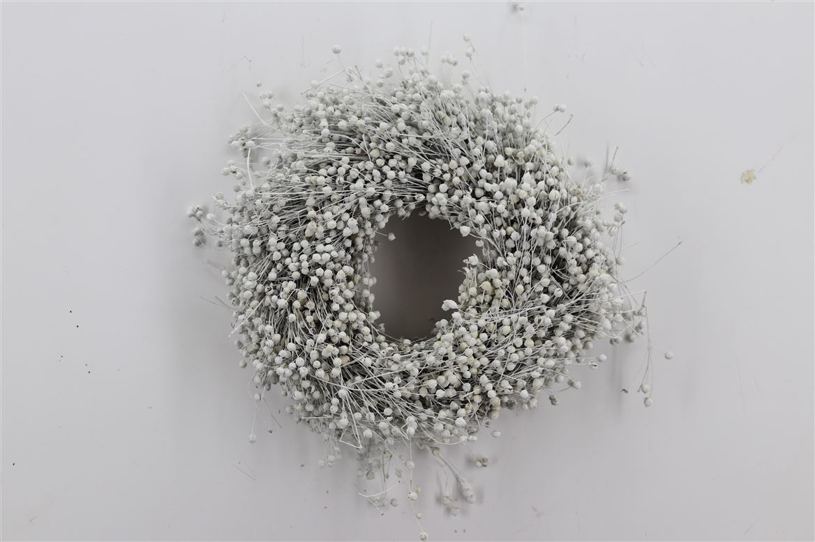Wr-Vlas-30cm-Frosted