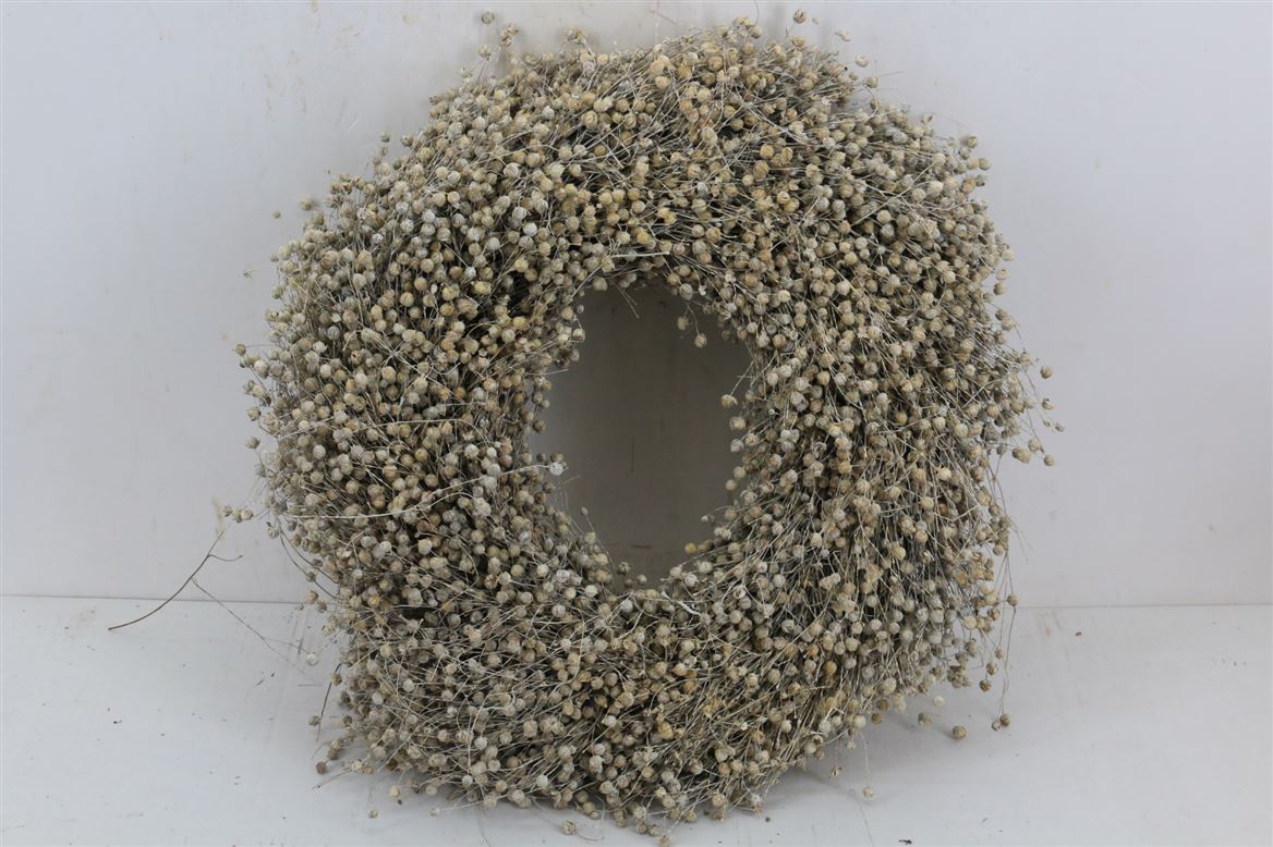 Wr-Vlas-40cm-Frosted