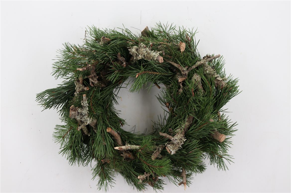 Wr.-Pinus-Larix-45cm