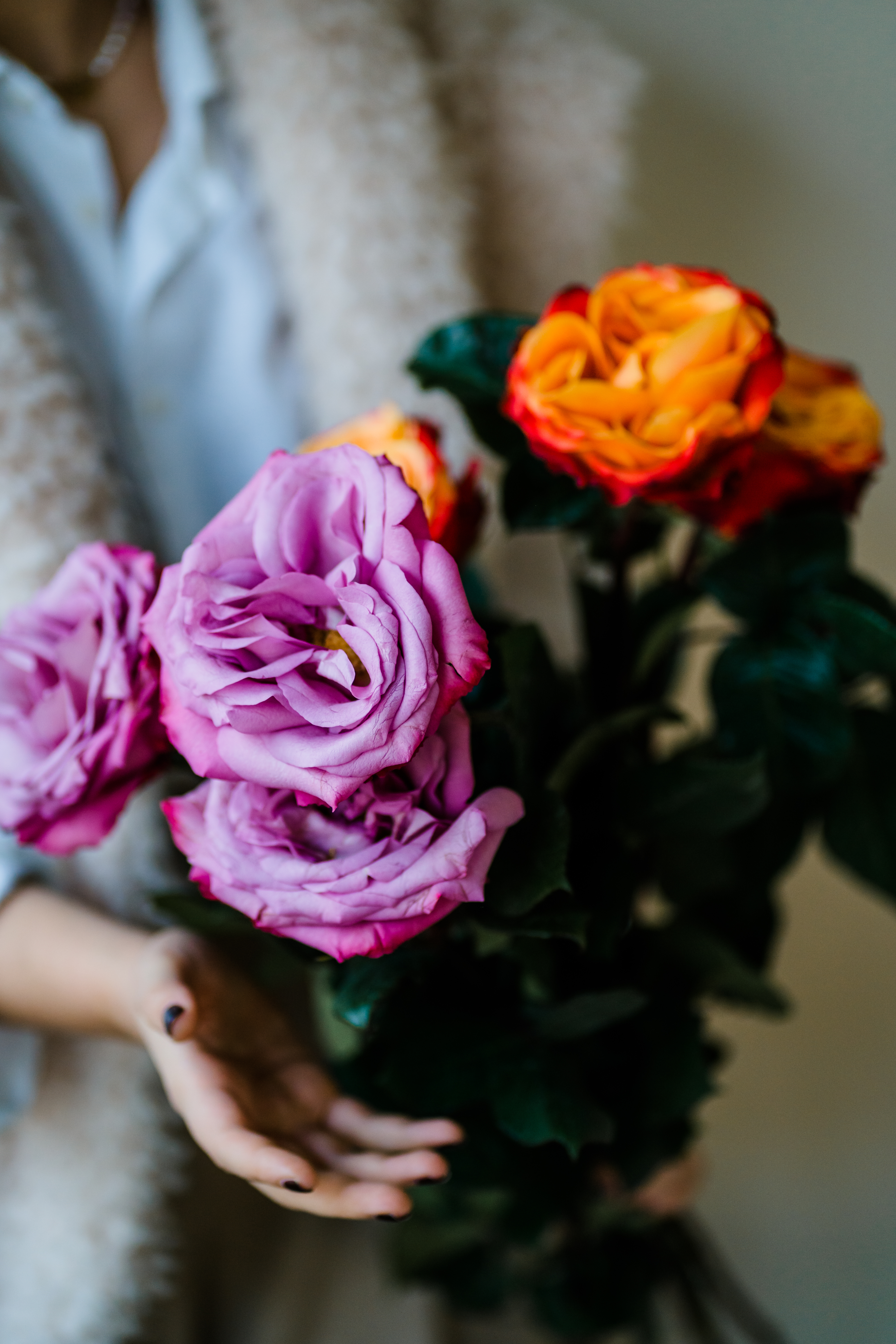 Rosen aus Ecuador mit Liebe