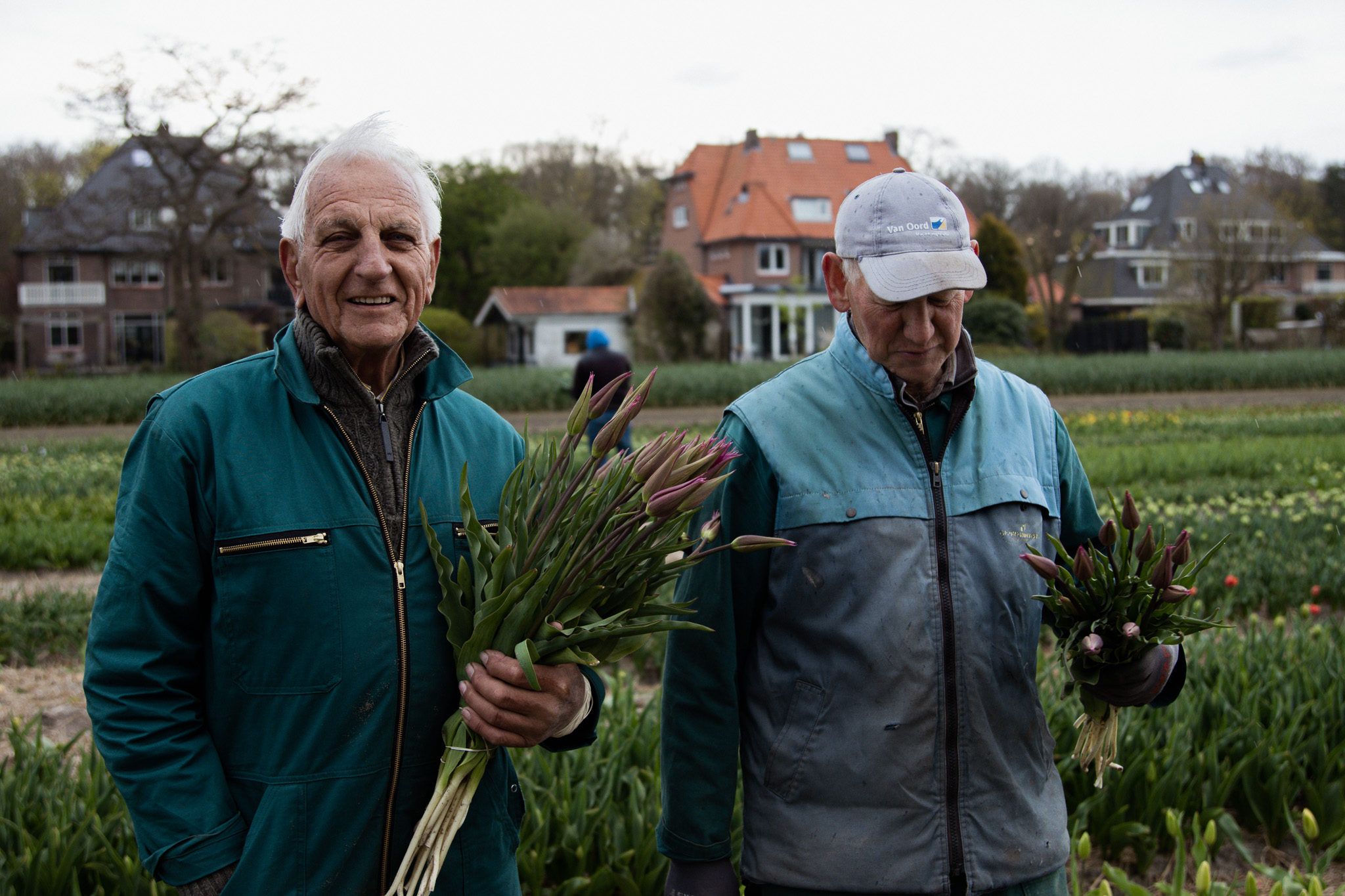 exclusieve-tulpen