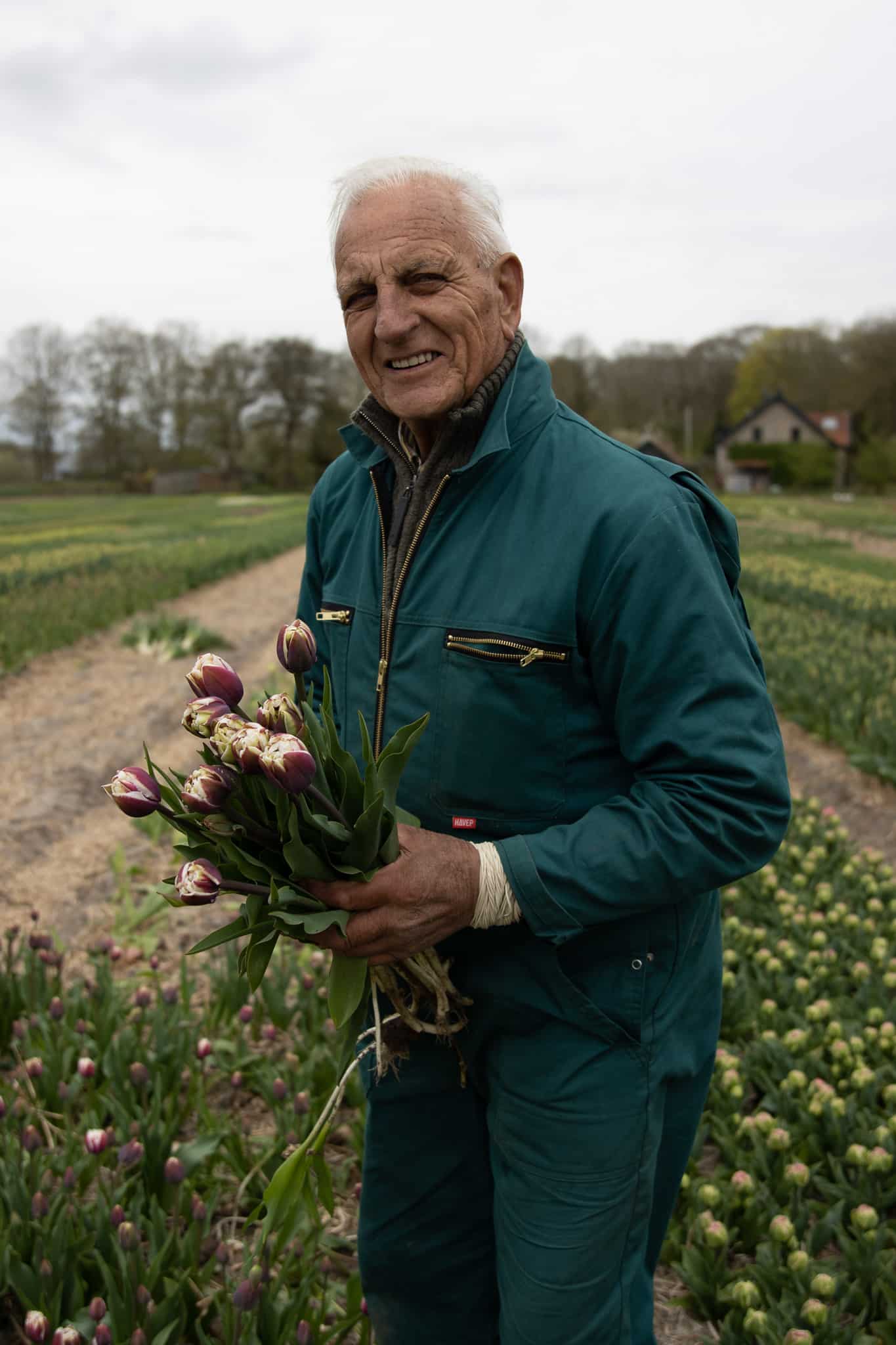 Handgemaakte nobilisbomen 